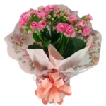 Vaso de flor Kalanchoe +R$&nbsp;25,00